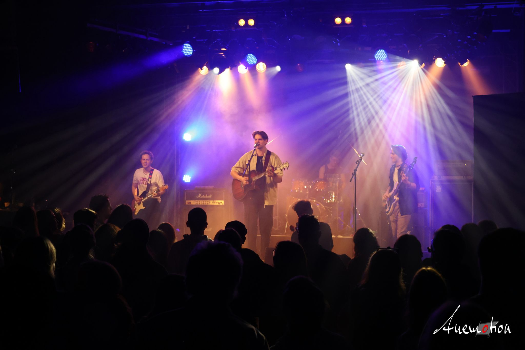 ElephantsFalling (35)